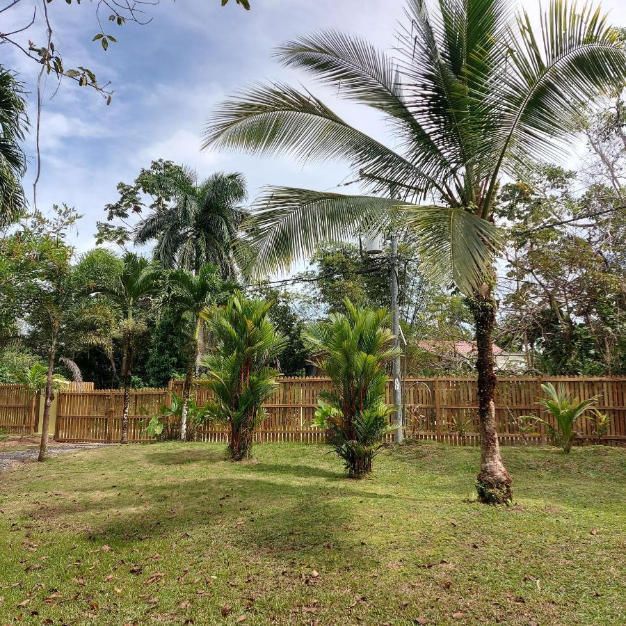 Casa Oceana Bed & Breakfast โบกัสทาวน์ ภายนอก รูปภาพ