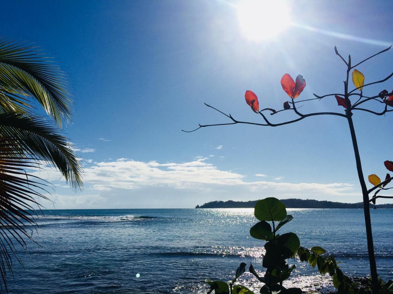 Casa Oceana Bed & Breakfast โบกัสทาวน์ ภายนอก รูปภาพ