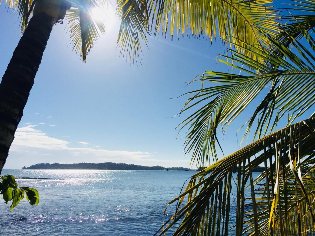 Casa Oceana Bed & Breakfast โบกัสทาวน์ ภายนอก รูปภาพ