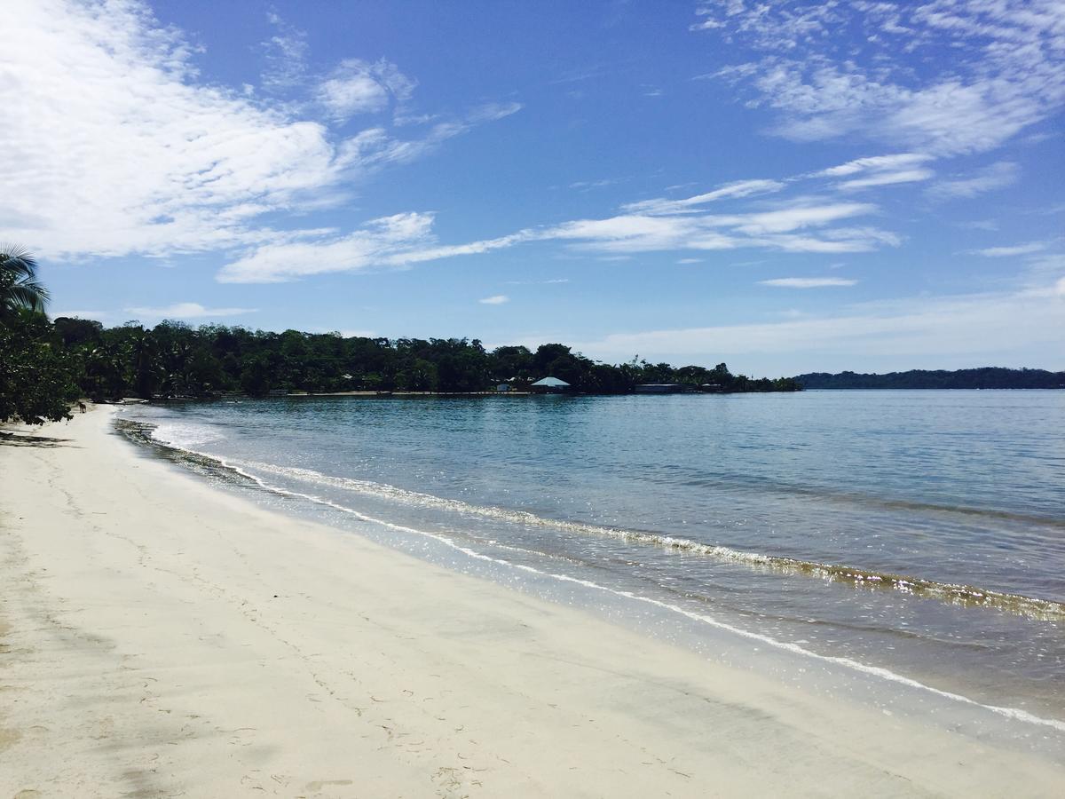 Casa Oceana Bed & Breakfast โบกัสทาวน์ ภายนอก รูปภาพ